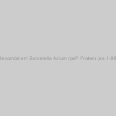 Image of Recombinant Bordetella Avium rpsP Protein (aa 1-86)